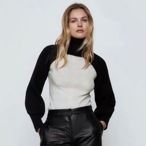 Zara Turtleneck Sleeve